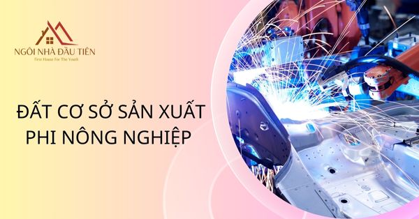 đất cơ sở sản xuất phi nông nghiệp