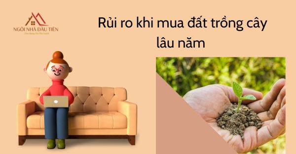 Rủi ro khi mua đất trồng cây lâu năm ngôi nhà đầu tiên