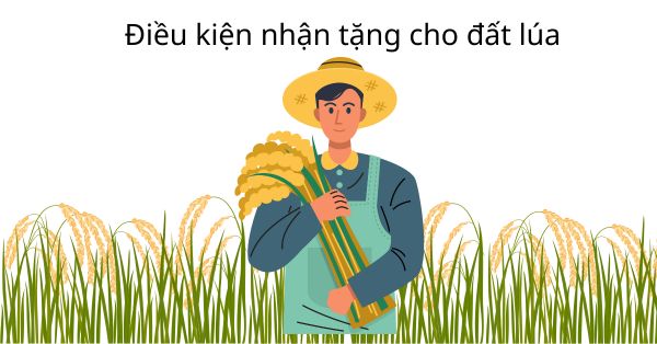 Điều kiện nhận tặng cho đất lúa